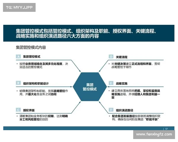 多元化发展路径中的关键因素及其对企业战略的影响分析 多元化发展路径中的关键因素及其对企业战略的影响分析