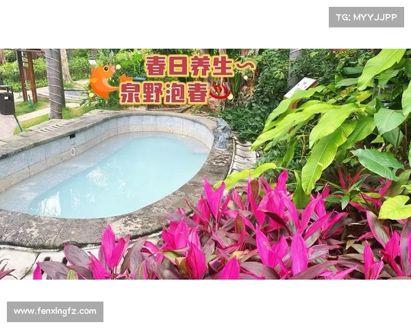 热泉养生:探索最受迎活动,重塑身心健康 热泉养生:探索最受迎活动,重塑身心健康