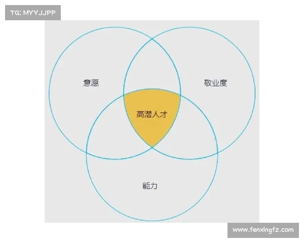 如何全面评估新秀在不同领域中的表现与发展潜力