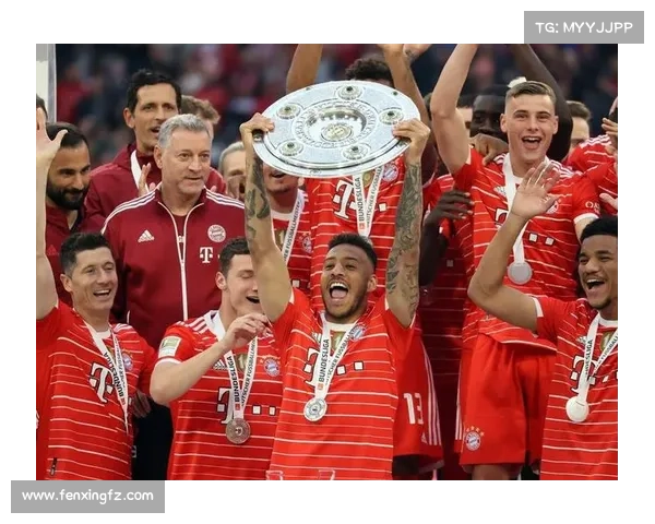 拜仁标王托利索近期五场比赛精彩表现全解析